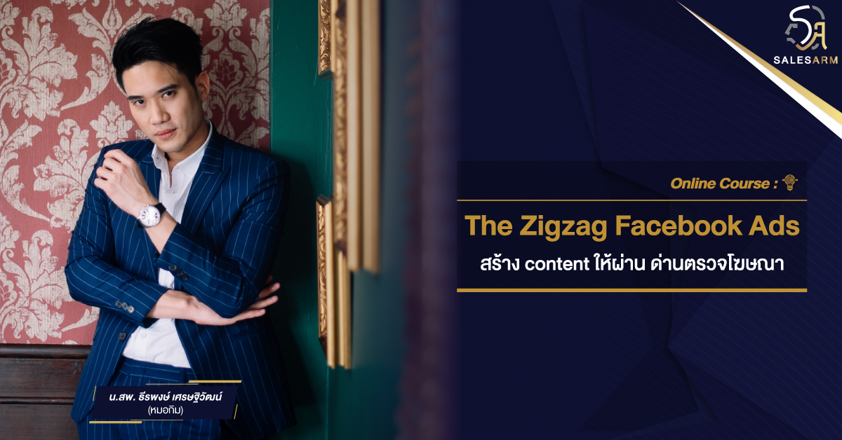 Online Course - The Zigzag Facebook Ads